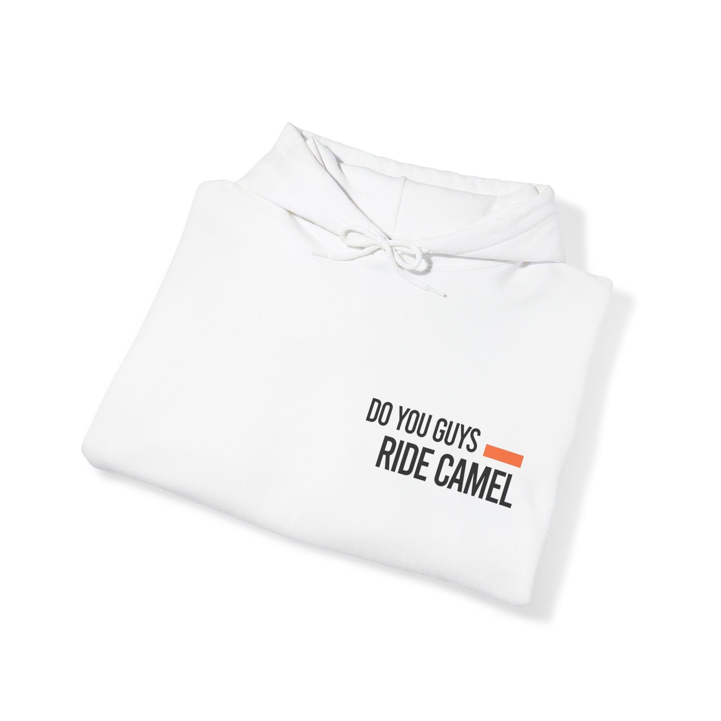 Do you Ride Camel! Hoodie